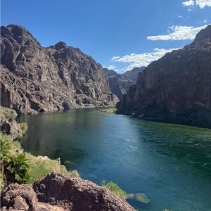 Meet your Posher, Madelaine